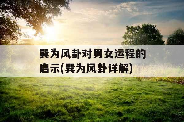 巽为风卦对男女运程的启示(巽为风卦详解)