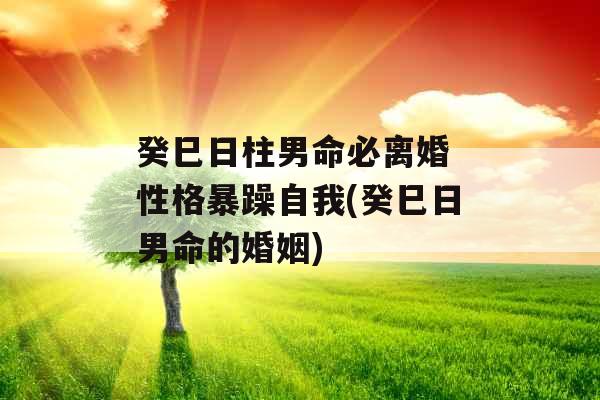 癸巳日柱男命必离婚 性格暴躁自我(癸巳日男命的婚姻)