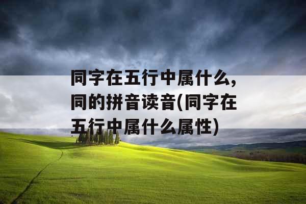 同字在五行中属什么,同的拼音读音(同字在五行中属什么属性)