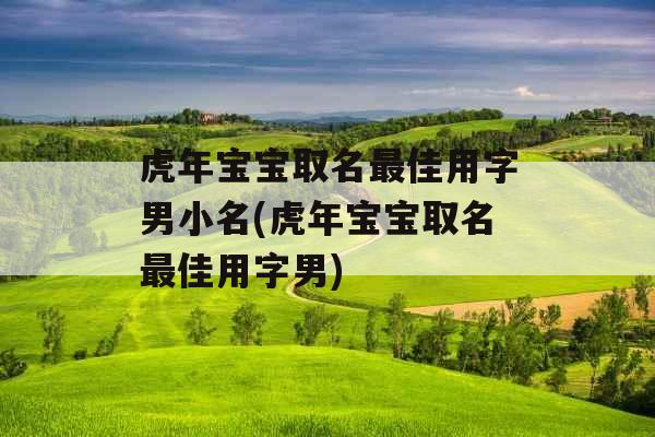 虎年宝宝取名最佳用字男小名(虎年宝宝取名最佳用字男)