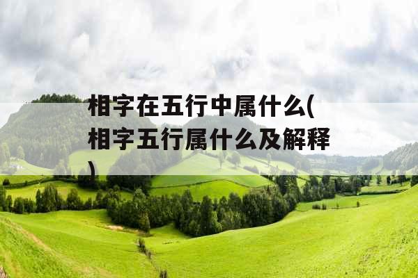 相字在五行中属什么(相字五行属什么及解释)