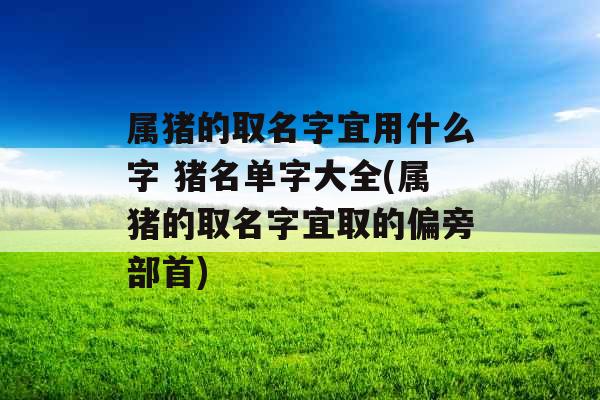 属猪的取名字宜用什么字 猪名单字大全(属猪的取名字宜取的偏旁部首)
