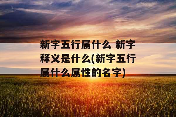 新字五行属什么 新字释义是什么(新字五行属什么属性的名字)