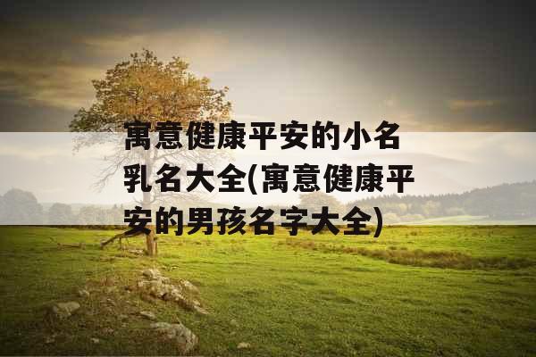 寓意健康平安的小名 乳名大全(寓意健康平安的男孩名字大全)