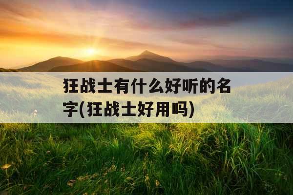 狂战士有什么好听的名字(狂战士好用吗)