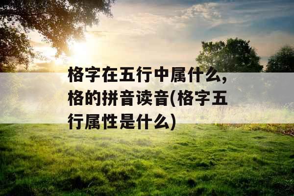 格字在五行中属什么,格的拼音读音(格字五行属性是什么) 格字在五行中属什么,格的拼音读音(格字五行属性是什么)