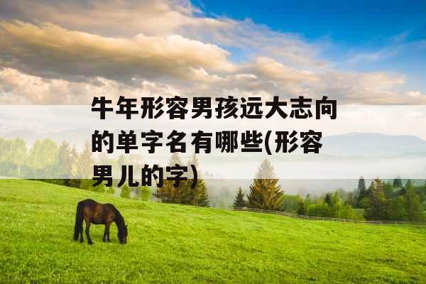 牛年形容男孩远大志向的单字名有哪些(形容男儿的字)