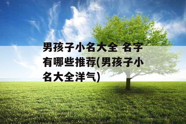 男孩子小名大全 名字有哪些推荐(男孩子小名大全洋气)