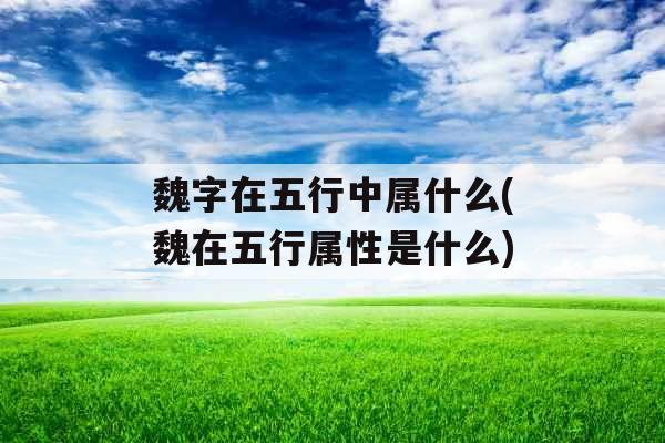 魏字在五行中属什么(魏在五行属性是什么)