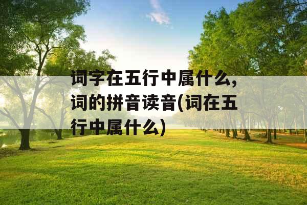 词字在五行中属什么,词的拼音读音(词在五行中属什么)