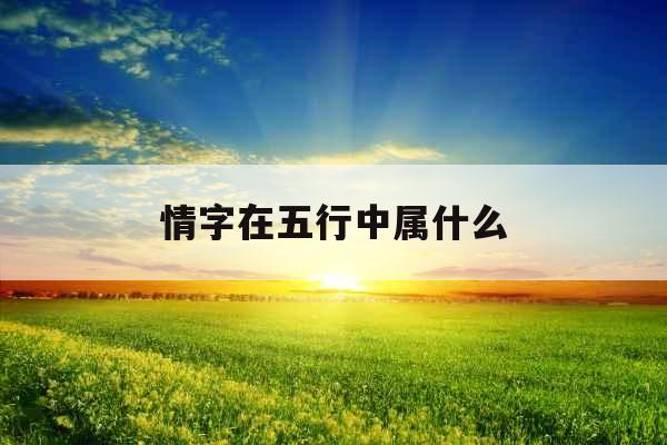 情字在五行中属什么