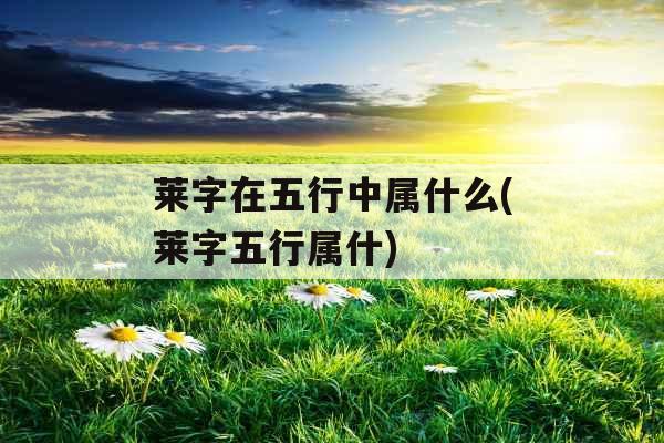 莱字在五行中属什么(莱字五行属什)