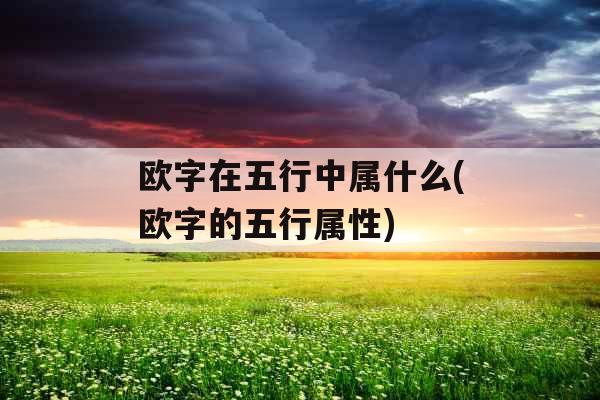 欧字在五行中属什么(欧字的五行属性)