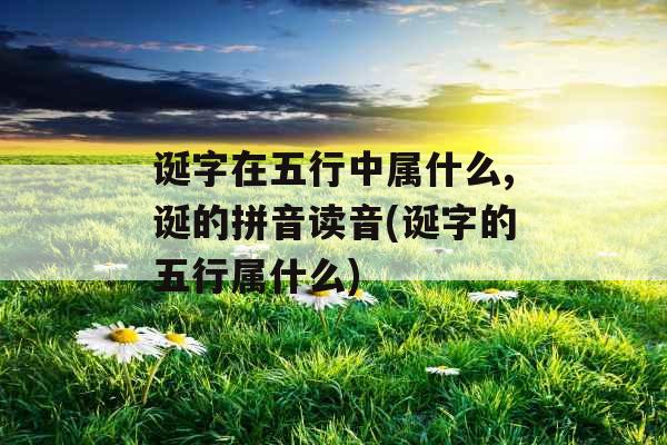 诞字在五行中属什么,诞的拼音读音(诞字的五行属什么) 诞字在五行中属什么,诞的拼音读音(诞字的五行属什么)