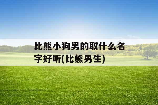 比熊小狗男的取什么名字好听(比熊男生)