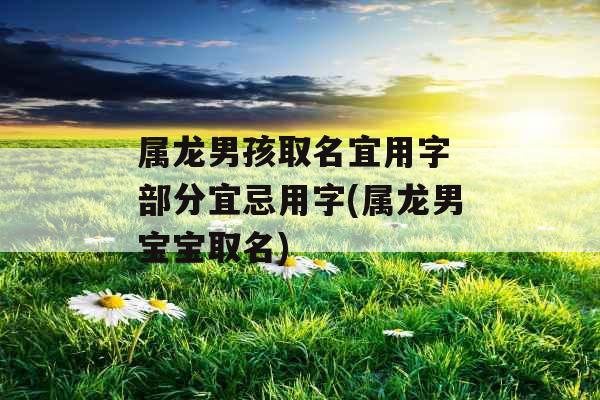 属龙男孩取名宜用字 部分宜忌用字(属龙男宝宝取名)