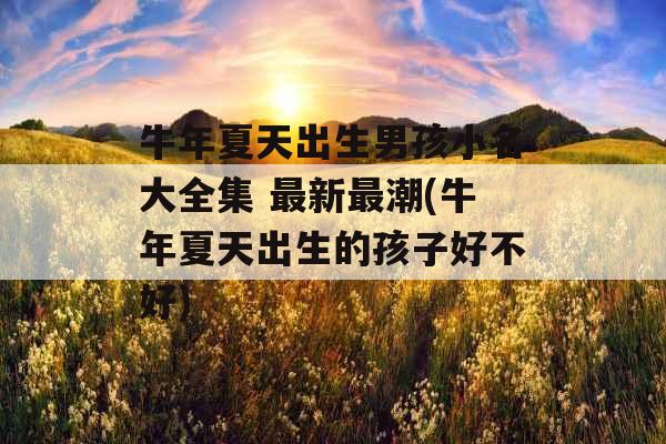 牛年夏天出生男孩小名大全集 最新最潮(牛年夏天出生的孩子好不好)