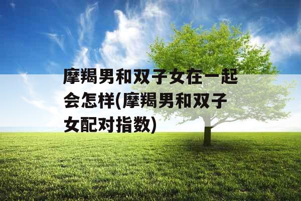 摩羯男和双子女在一起会怎样(摩羯男和双子女配对指数) 摩羯男和双子女在一起会怎样(摩羯男和双子女配对指数)