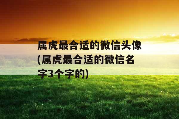 属虎最合适的微信头像(属虎最合适的微信名字3个字的)