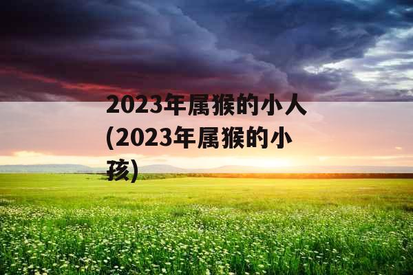 2023年属猴的小人(2023年属猴的小孩)