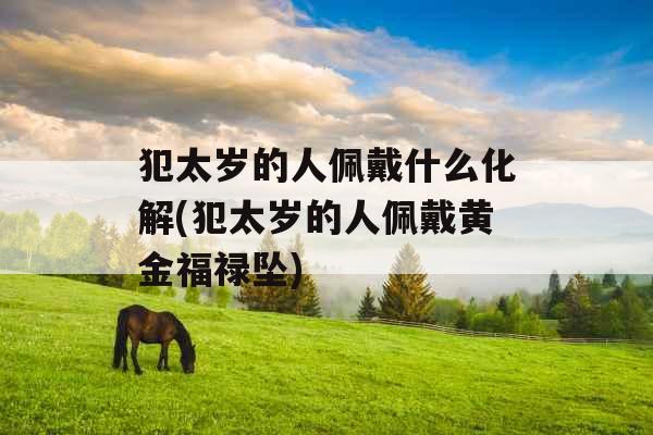 犯太岁的人佩戴什么化解(犯太岁的人佩戴黄金福禄坠)