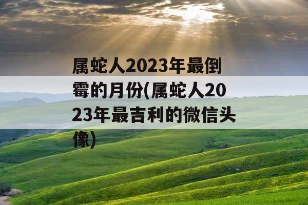属蛇人2023年最倒霉的月份(属蛇人2023年最吉利的微信头像)