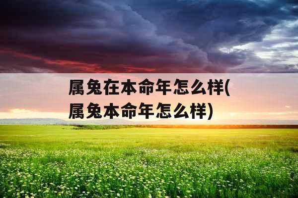 属兔在本命年怎么样(属兔本命年怎么样)