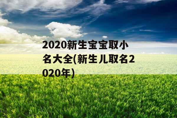 2020新生宝宝取小名大全(新生儿取名2020年)