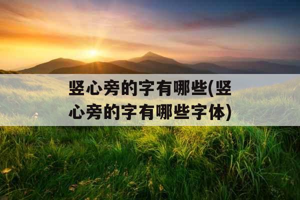 竖心旁的字有哪些(竖心旁的字有哪些字体)