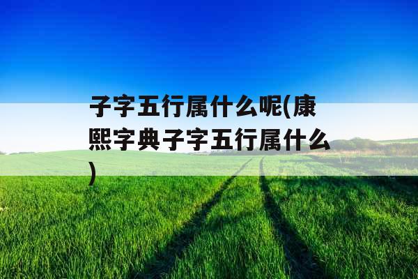 子字五行属什么呢(康熙字典子字五行属什么)