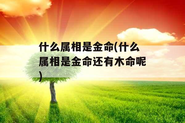 什么属相是金命(什么属相是金命还有木命呢)