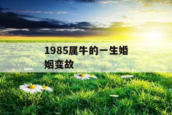1985属牛的一生婚姻变故