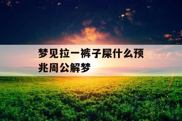 梦见拉一裤子屎什么预兆周公解梦