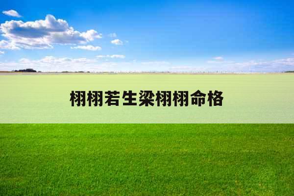 栩栩若生梁栩栩命格