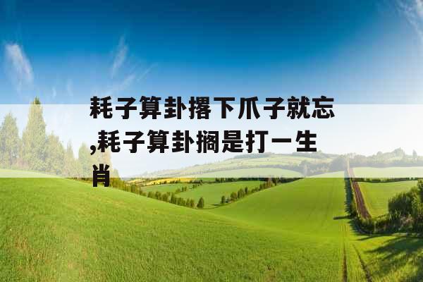 耗子算卦撂下爪子就忘,耗子算卦搁是打一生肖