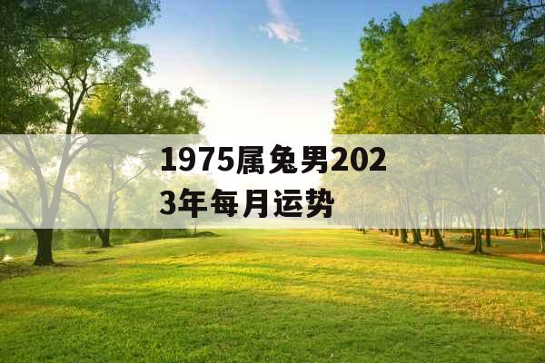 1975属兔男2023年每月运势
