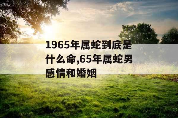 1965年属蛇到底是什么命,65年属蛇男感情和婚姻