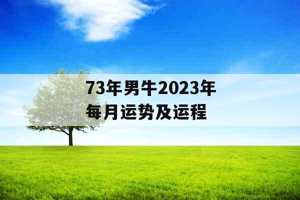 73年男牛2023年每月运势及运程