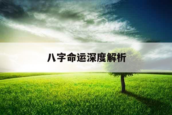 八字命运深度解析