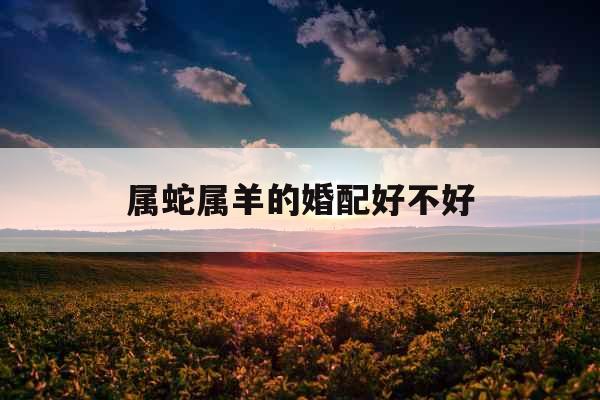 属蛇属羊的婚配好不好