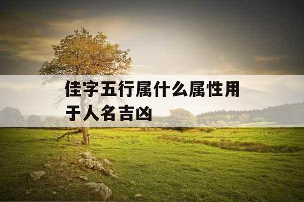 佳字五行属什么属性用于人名吉凶