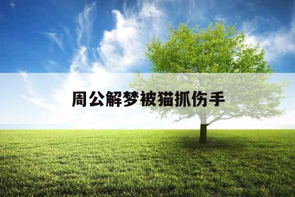 周公解梦被猫抓伤手
