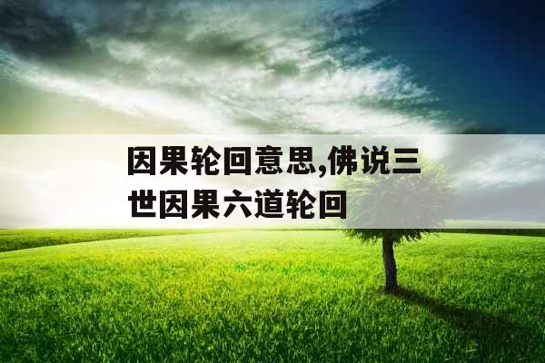 因果轮回意思,佛说三世因果六道轮回