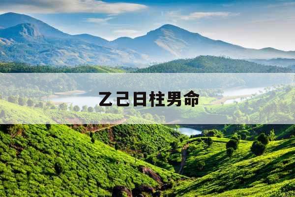乙己日柱男命