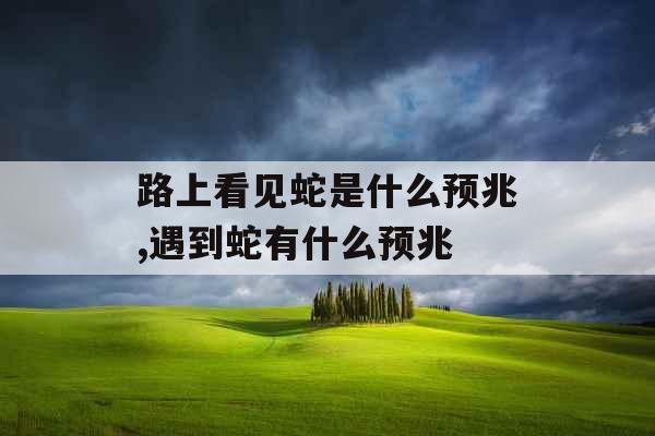 路上看见蛇是什么预兆,遇到蛇有什么预兆