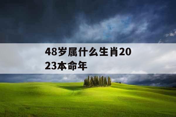 48岁属什么生肖2023本命年