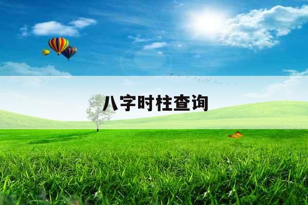 八字时柱查询