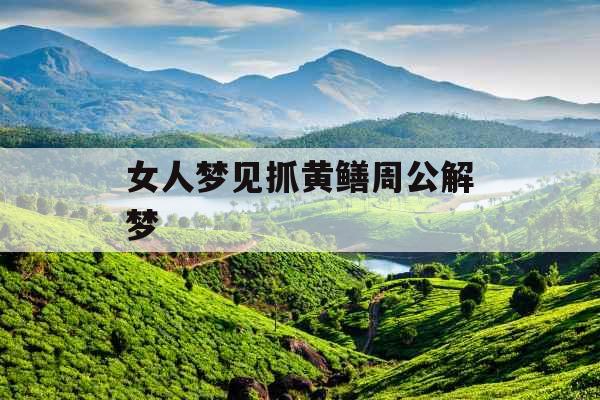 女人梦见抓黄鳝周公解梦
