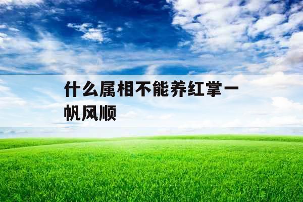 什么属相不能养红掌一帆风顺