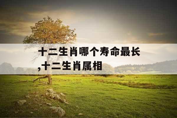 十二生肖哪个寿命最长,十二生肖属相